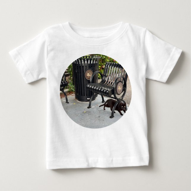 Camiseta Gatinho no Parque (Frente)