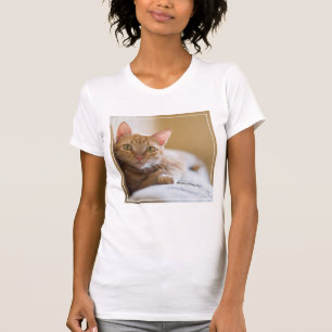 Camiseta Gatinho que encontra-se no sofá
