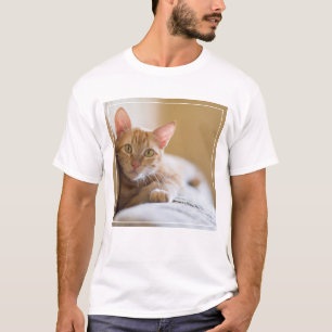 Camiseta Gatinho que encontra-se no sofá