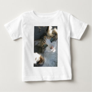 Camiseta Gatinho Reprodutor