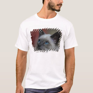 Camiseta Gatinho Siamese