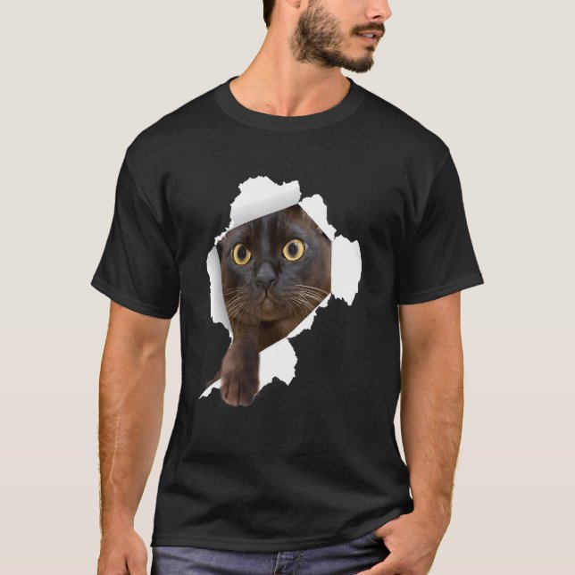 Camiseta Gatinhos birmaneses rasgam tecido (Frente)