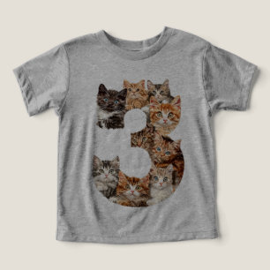 Camiseta Gatinhos De aniversário de 3 anos, Gatinhos Com 3