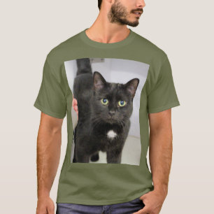 Camiseta Gato
