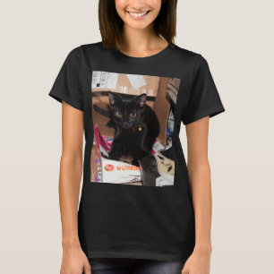 Camiseta Gato