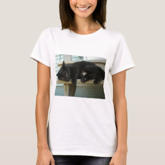 Camiseta Gato