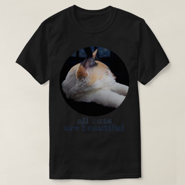 Camiseta gato 8 (Frente do Design)