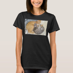 Camiseta Gato bonito para raparigas Gatos mulheres rapazes