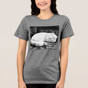 Camiseta Gato Branca de Dormir Persa