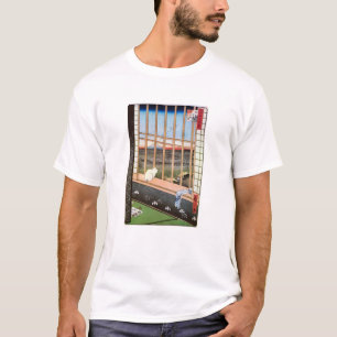 Camiseta Gato branco sentado pela janela, Utagawa Hiroshige