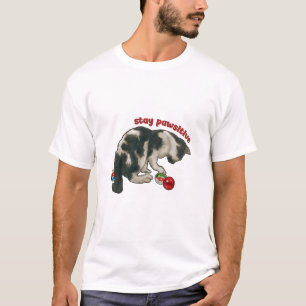 Camiseta Gato Brincando com BOLAS DE GUDE, Fique Patasitivo