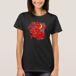Camiseta Gato Céu Vermelho Pesadelo Lua Mística - Grunge Gó