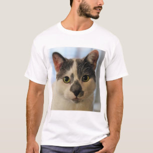 Camiseta Gato Cinto