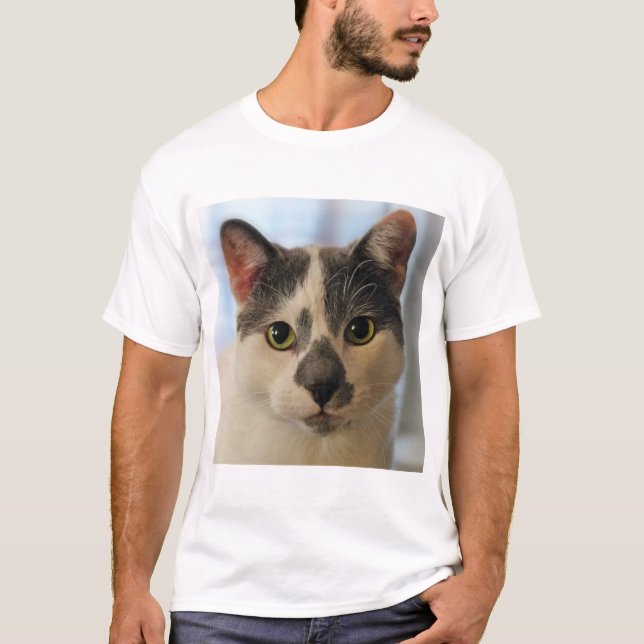 Camiseta Gato Cinto (Frente)