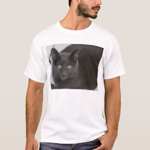 Camiseta Gato cinzento com os olhos verdes impressionantes