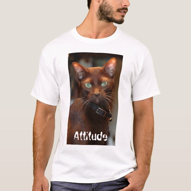 Camiseta Gato com atitude T (Frente)