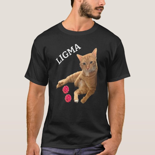 Camiseta Gato da Piada Ligma com brinquedos (Frente)