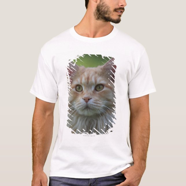 Camiseta Gato de racum principal (Frente)
