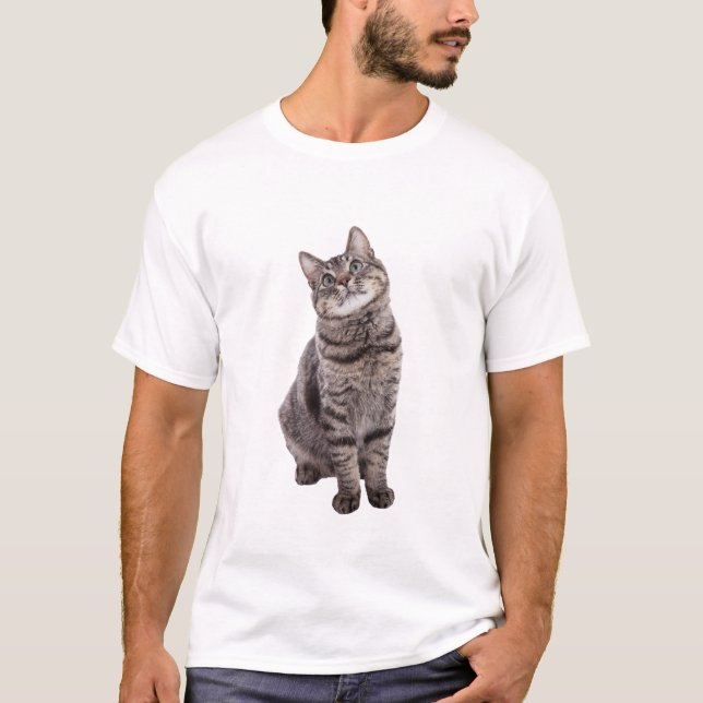 Camiseta Gato de Tabby (Frente)