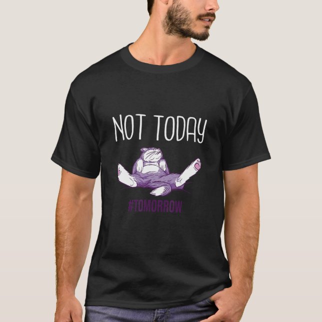 Camiseta Gato deitado sem motivação (Frente)