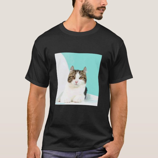 Camiseta gato do curl americano_001 (Frente)