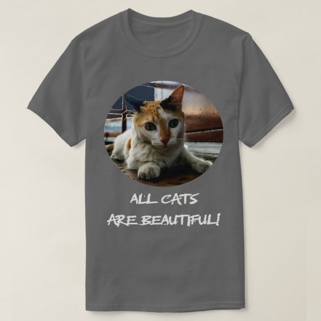 Camiseta gato é bonito (Frente do Design)