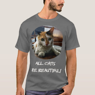 Camiseta gato é bonito