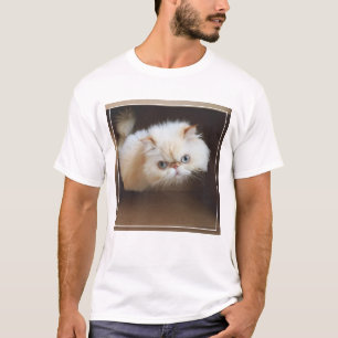 Camiseta Gato em uma caixa