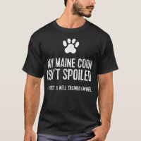 Gato Engraçado O meu casulo de Maine não é mimado
