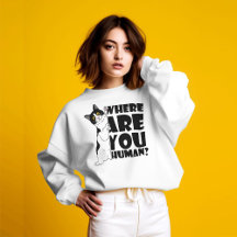 Gato Engraçado: Onde Você Está, Humano?