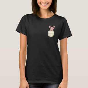 Camiseta Gato Esfinge Em Pocket Pet Kitten Sem Cabelo