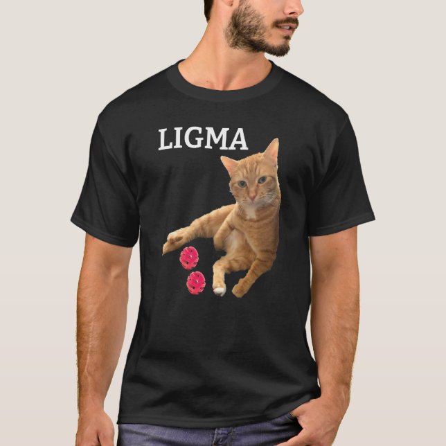 Camiseta Gato Fofo com brinquedos piada Ligma (Frente)