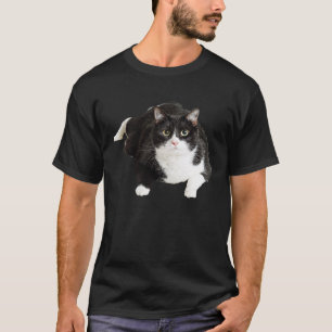 Camiseta Gato Gordo Sentado Para Dama De Gato E Mães Loucas