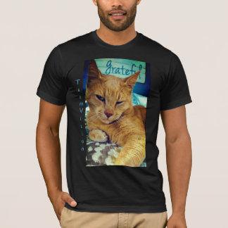 Camiseta Gato Grato
