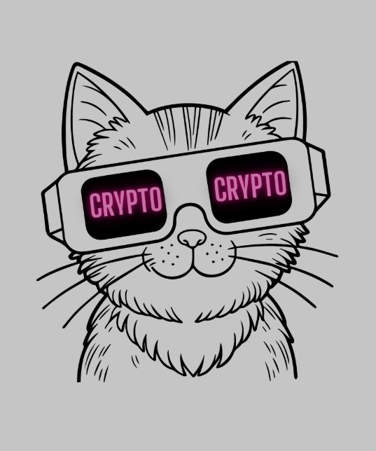 Camiseta Gato Inteligente com Vidro Cripto (Bainha)