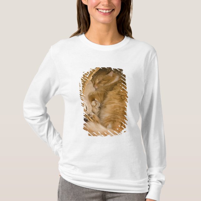 Camiseta Gato laranja dormindo na cesta (Frente)