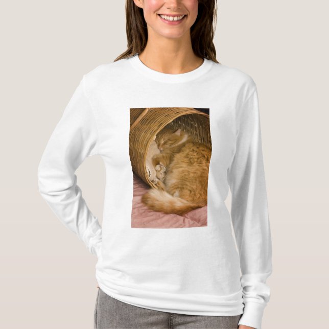 Camiseta Gato laranja dormindo na cesta (Frente)