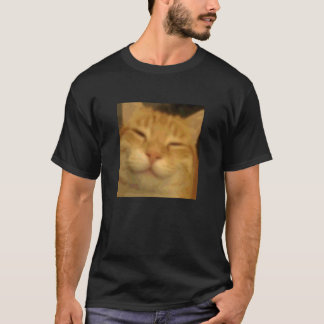 Camiseta Gato Laranja Relaxado Cara Foto Embaçada Meme Humo