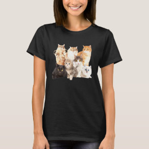 Camiseta Gato Louco Dama Muitos Gatos Festa Bela De Animais