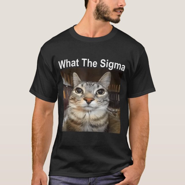 Camiseta Gato Meme Engraçado Qual é o Sigma Citação de Meme (Frente)
