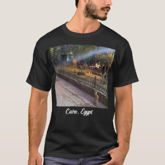 Camiseta Gato no Cairo, Egito