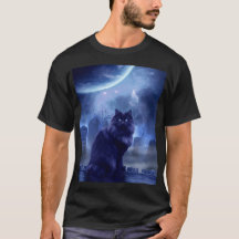 gato preto masculino e luz da lua