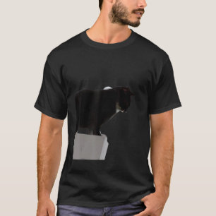 Camiseta Gato preto meme gatinho espirituoso