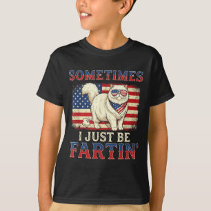 Camiseta Gato que peida engraçado bandeira americana retrô 