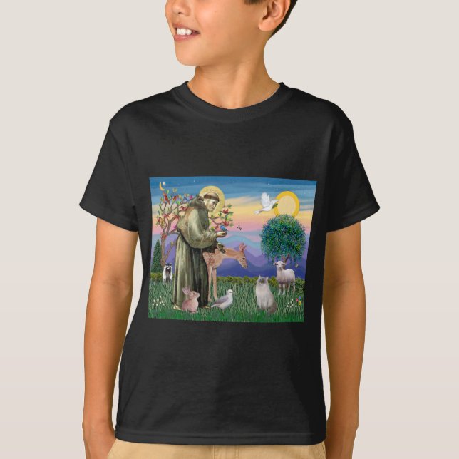 Camiseta Gato Ragdoll (Ponto Azul) e São Francisco (Frente)