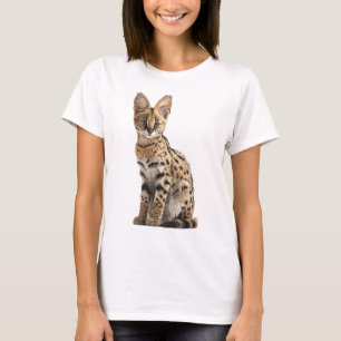 Camiseta Gato Serval Africano Exótico Feminino Felino Manch