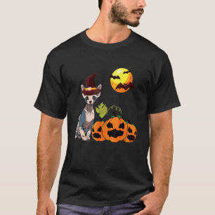 Camiseta Gato Sphynx de Halloween para Gato Sem Pelo