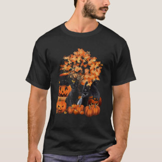 Camiseta Gatos Abóbora Halloween
