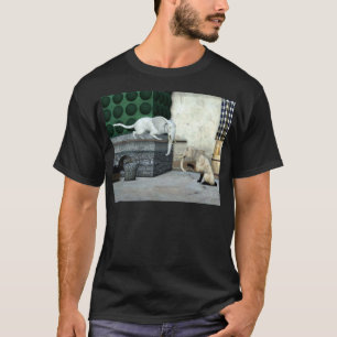 Camiseta Gatos adoráveis do elefante