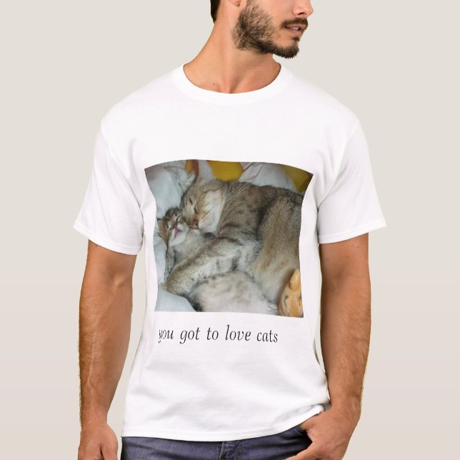 Camiseta gatos de afago (Frente)